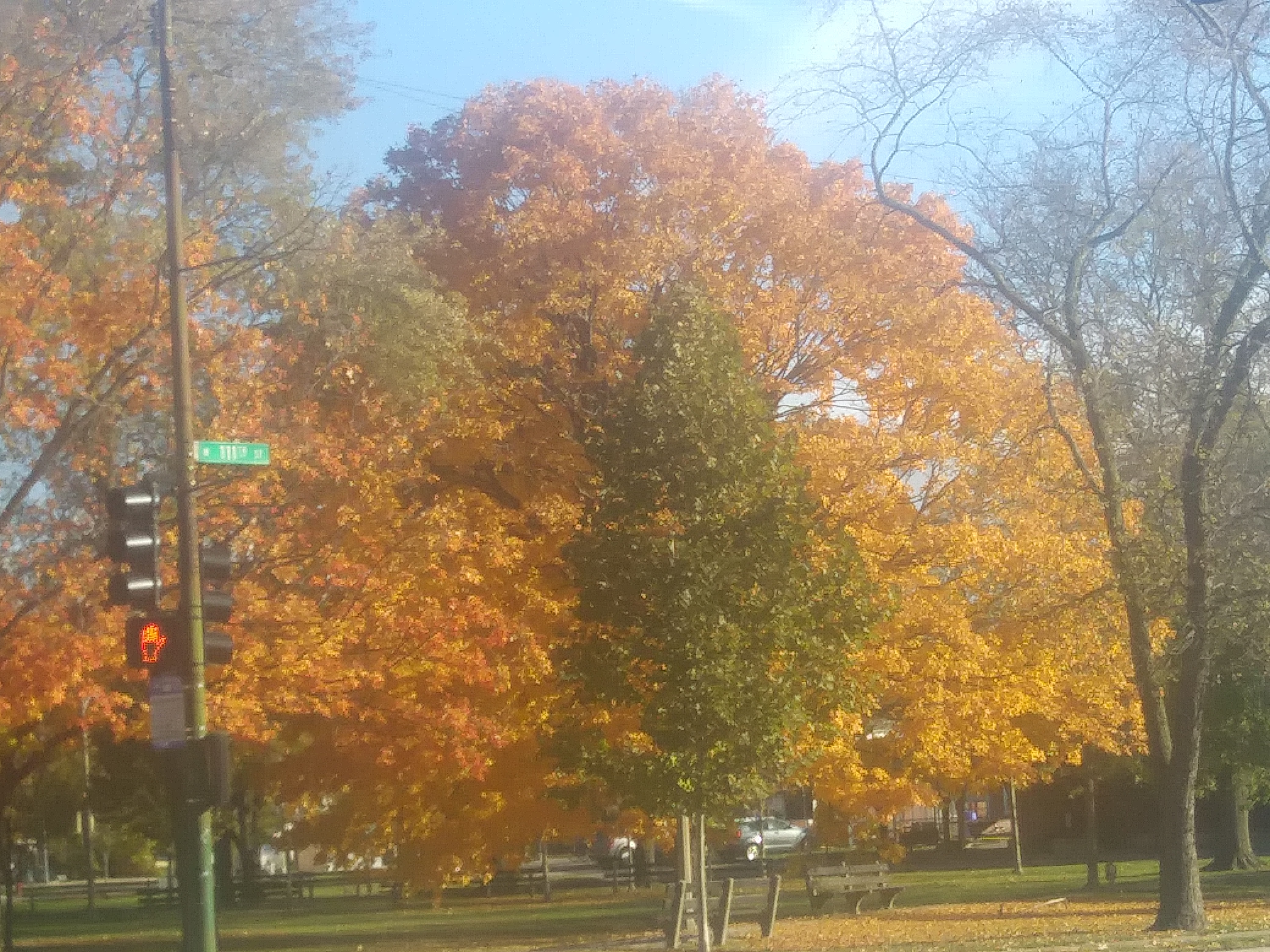 Its fall.jpg