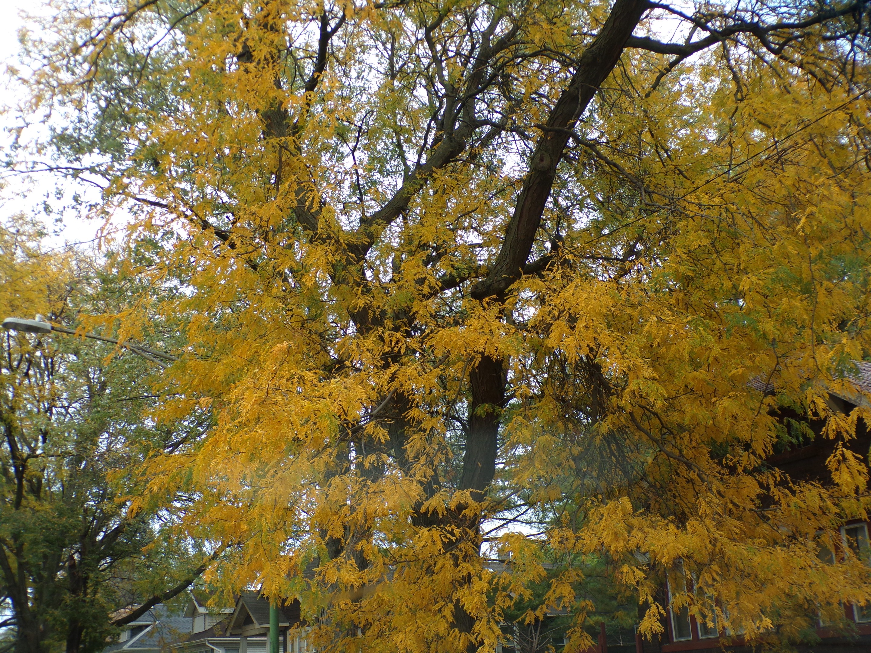 100_0192.JPG