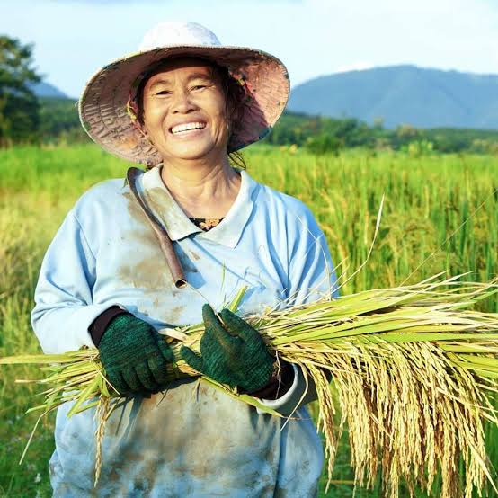 Steemit profile picture for @agricultural