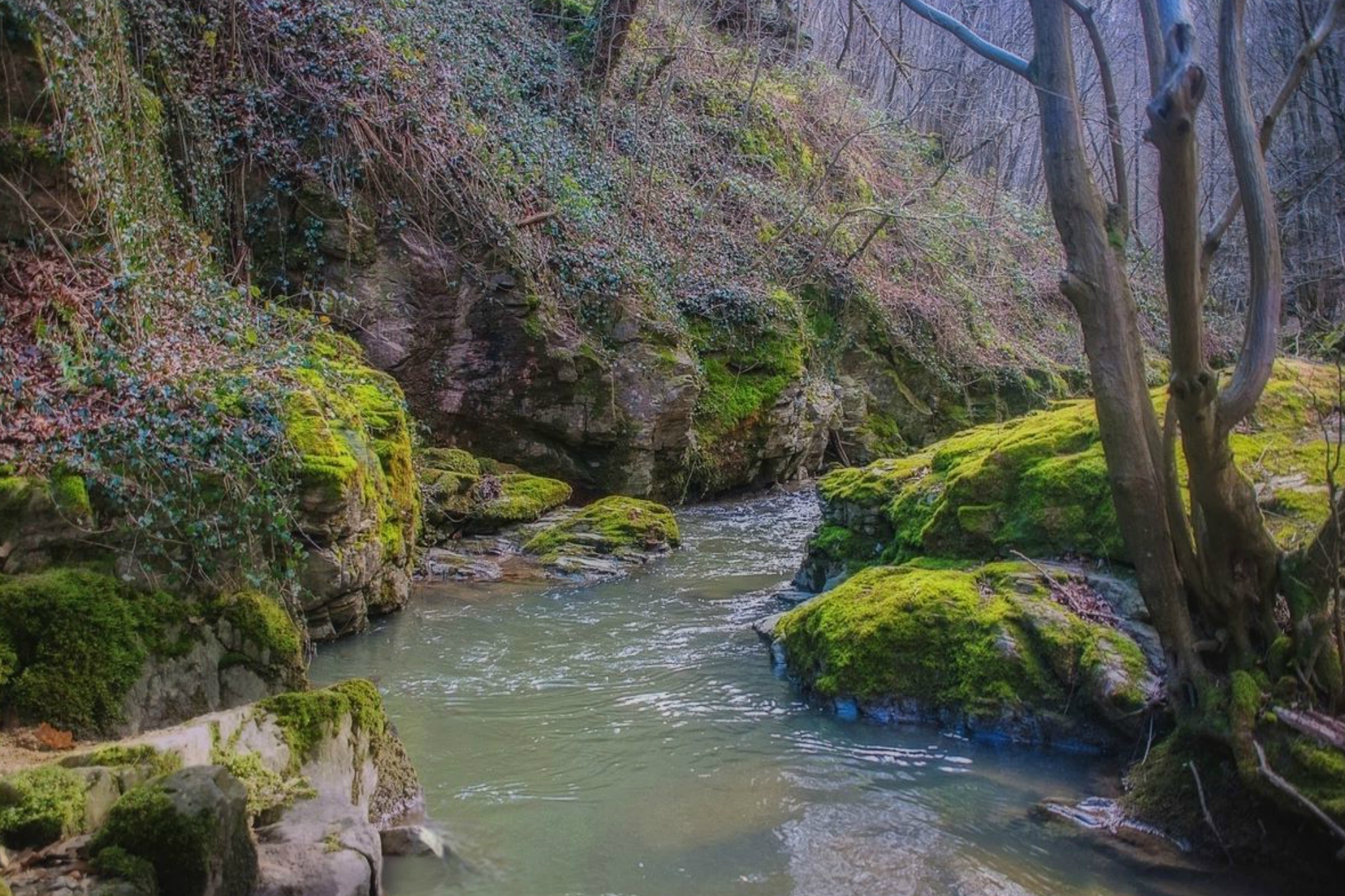DSCN32698.jpg