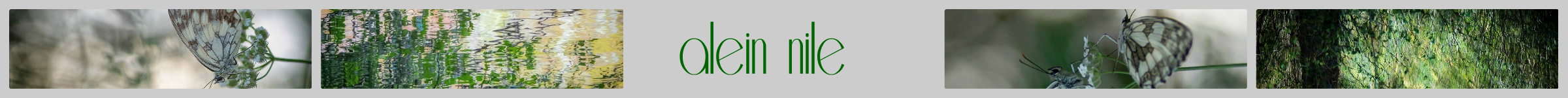 alein nile.png