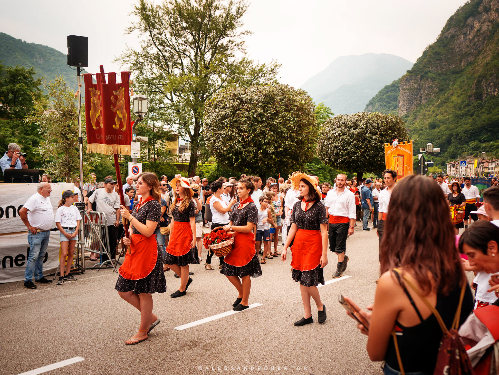P1310236.jpg