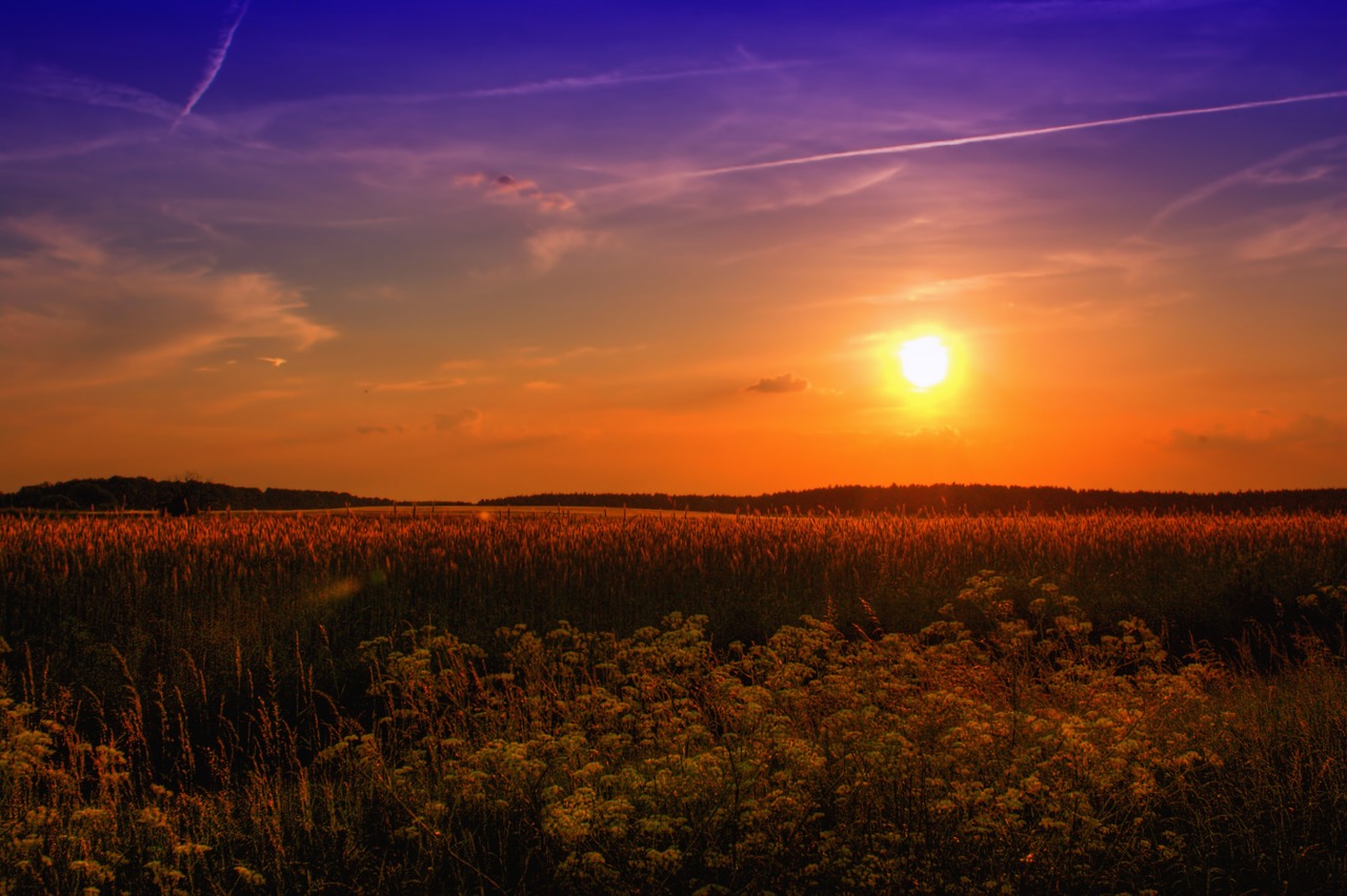 summer789974_1280.jpg