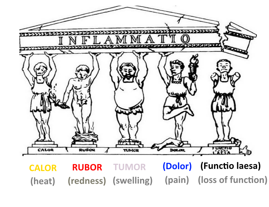 inflammation.png