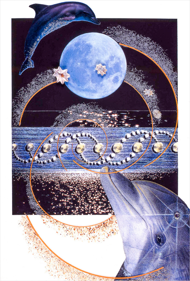 802x1185.png