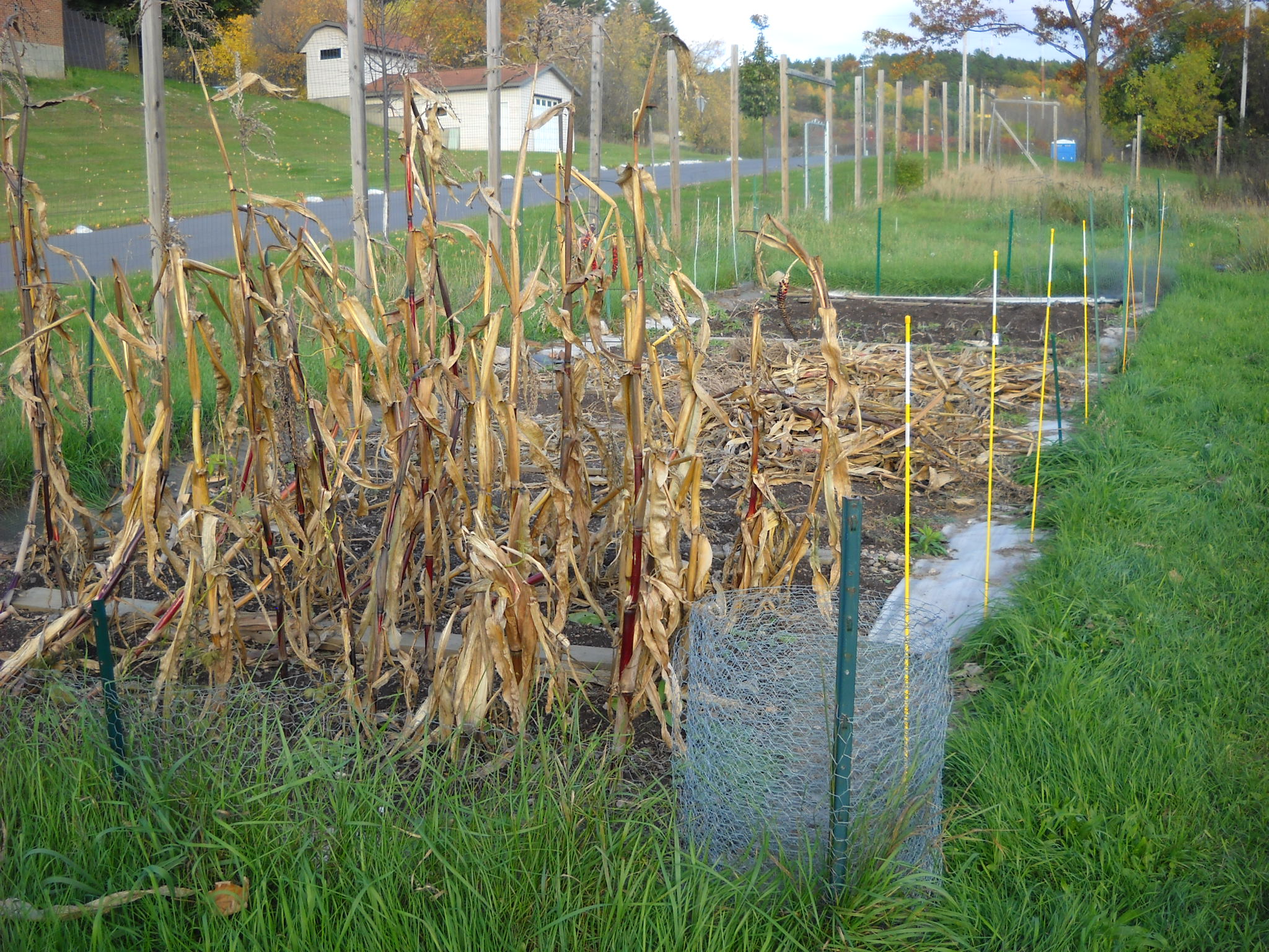 DSCN2383.JPG