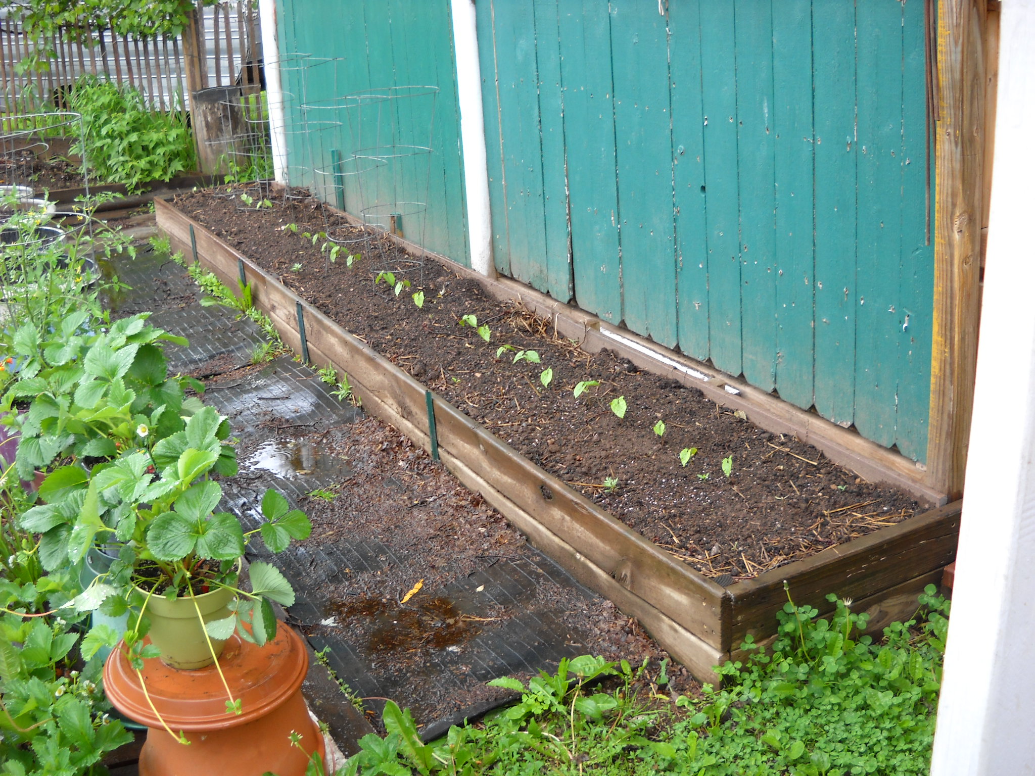 DSCN1257.JPG