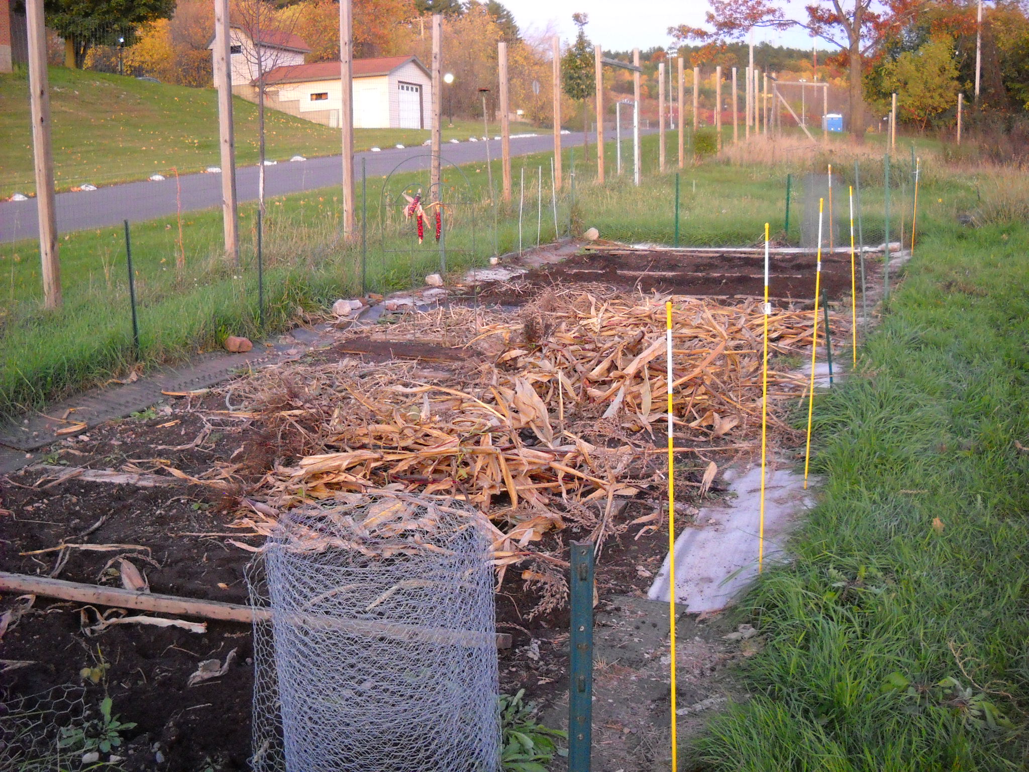 DSCN2389.JPG