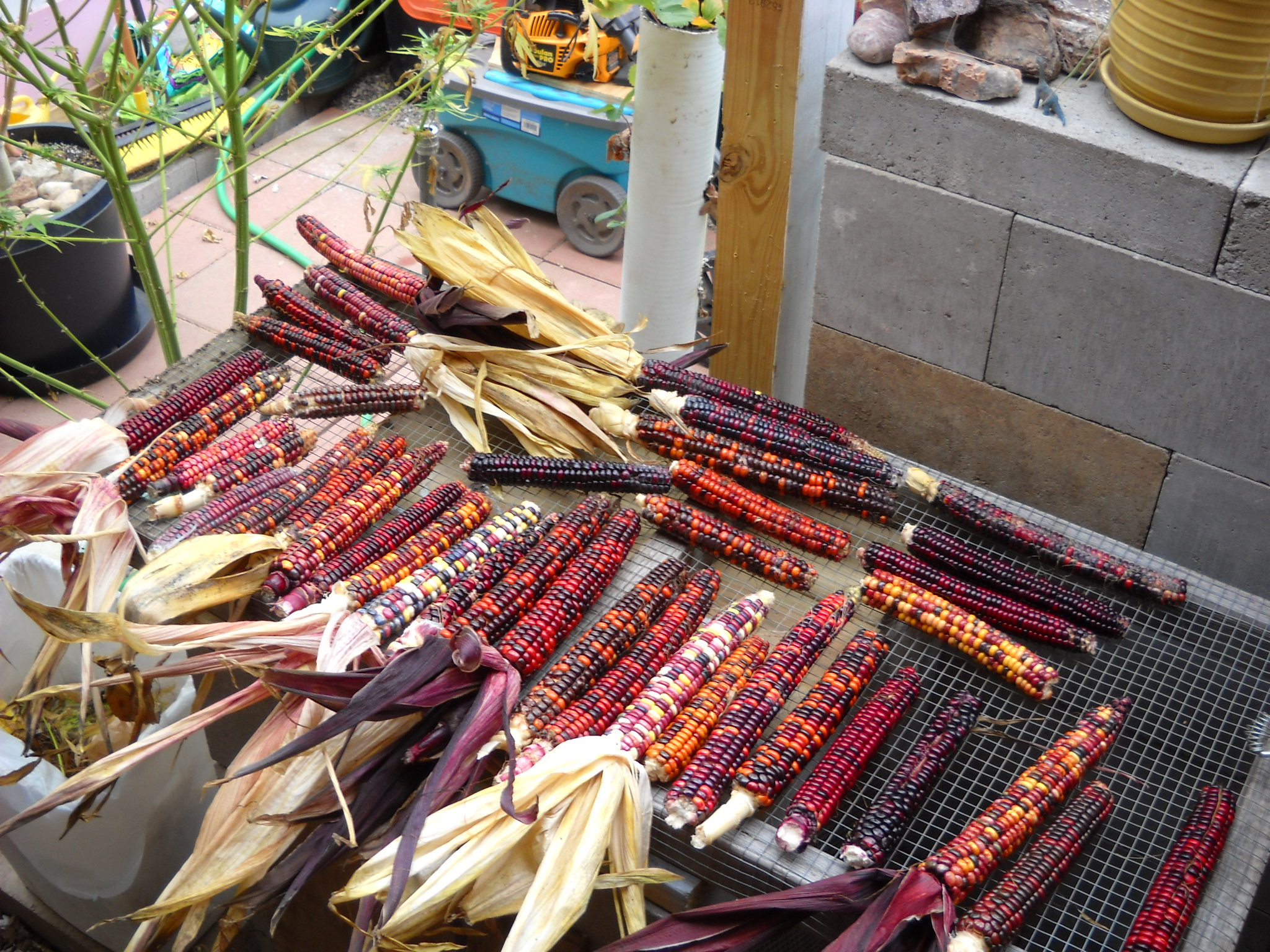 DSCN2189.JPG