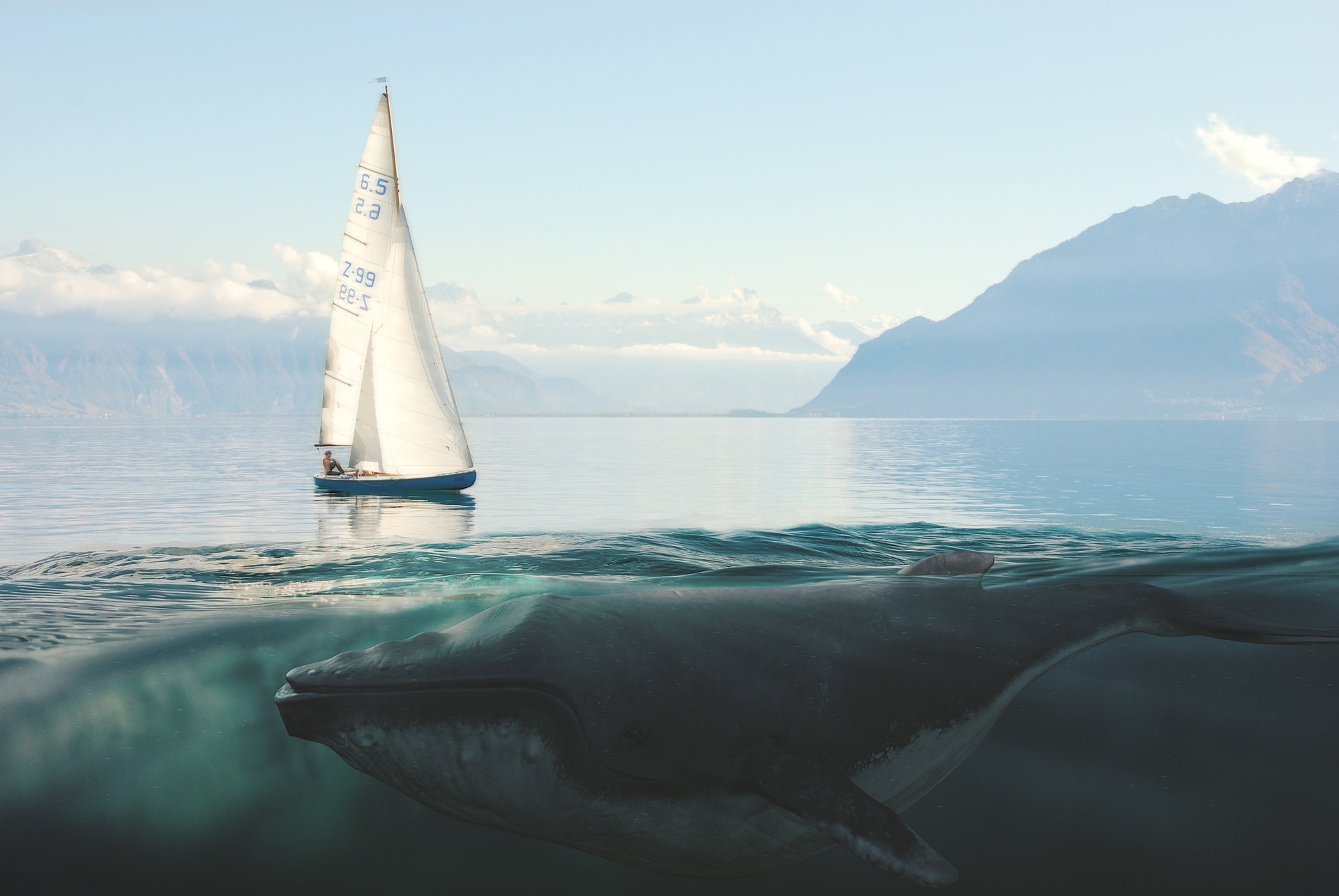 sailingboat4197995_1920.jpg