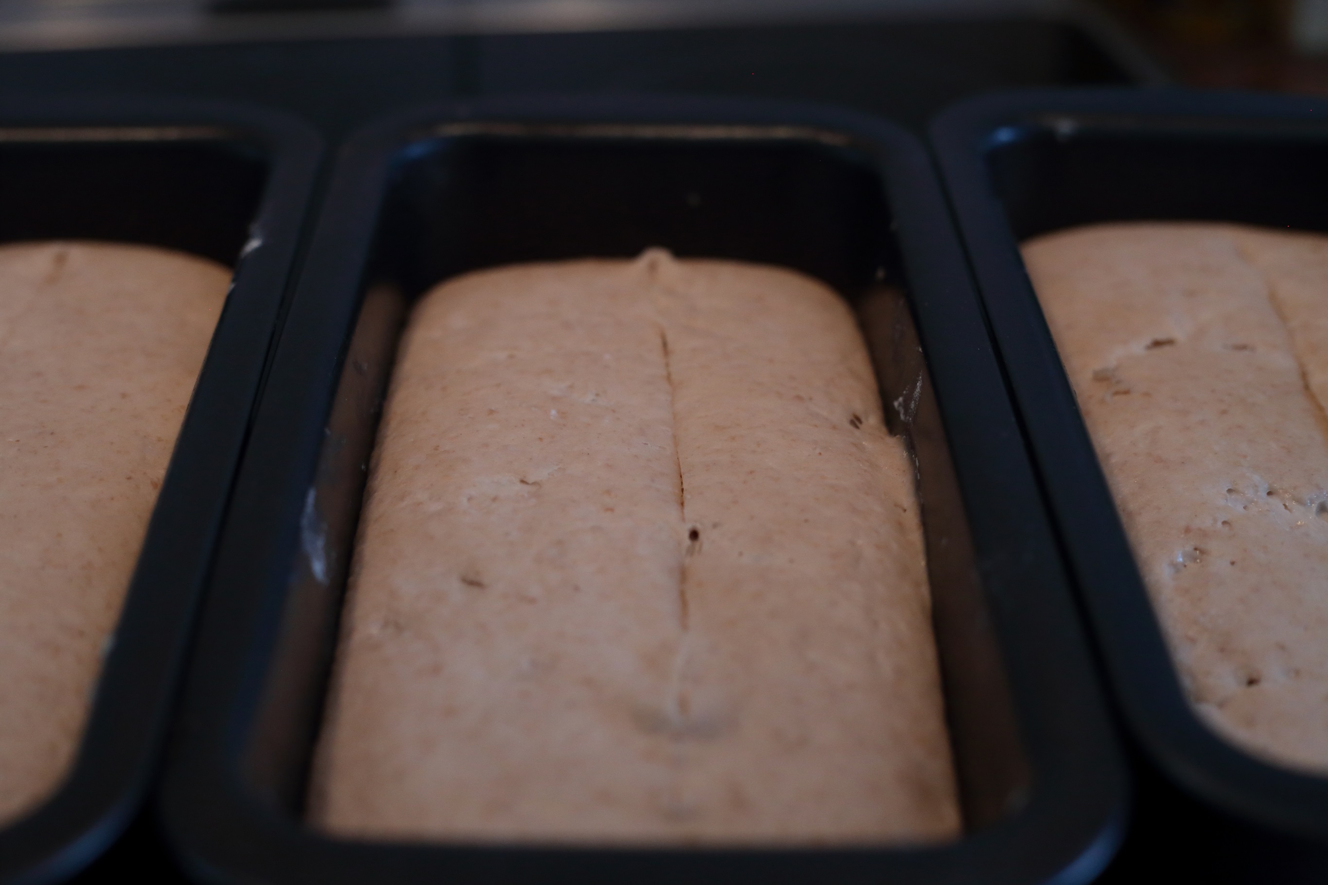 Bread 266.JPG