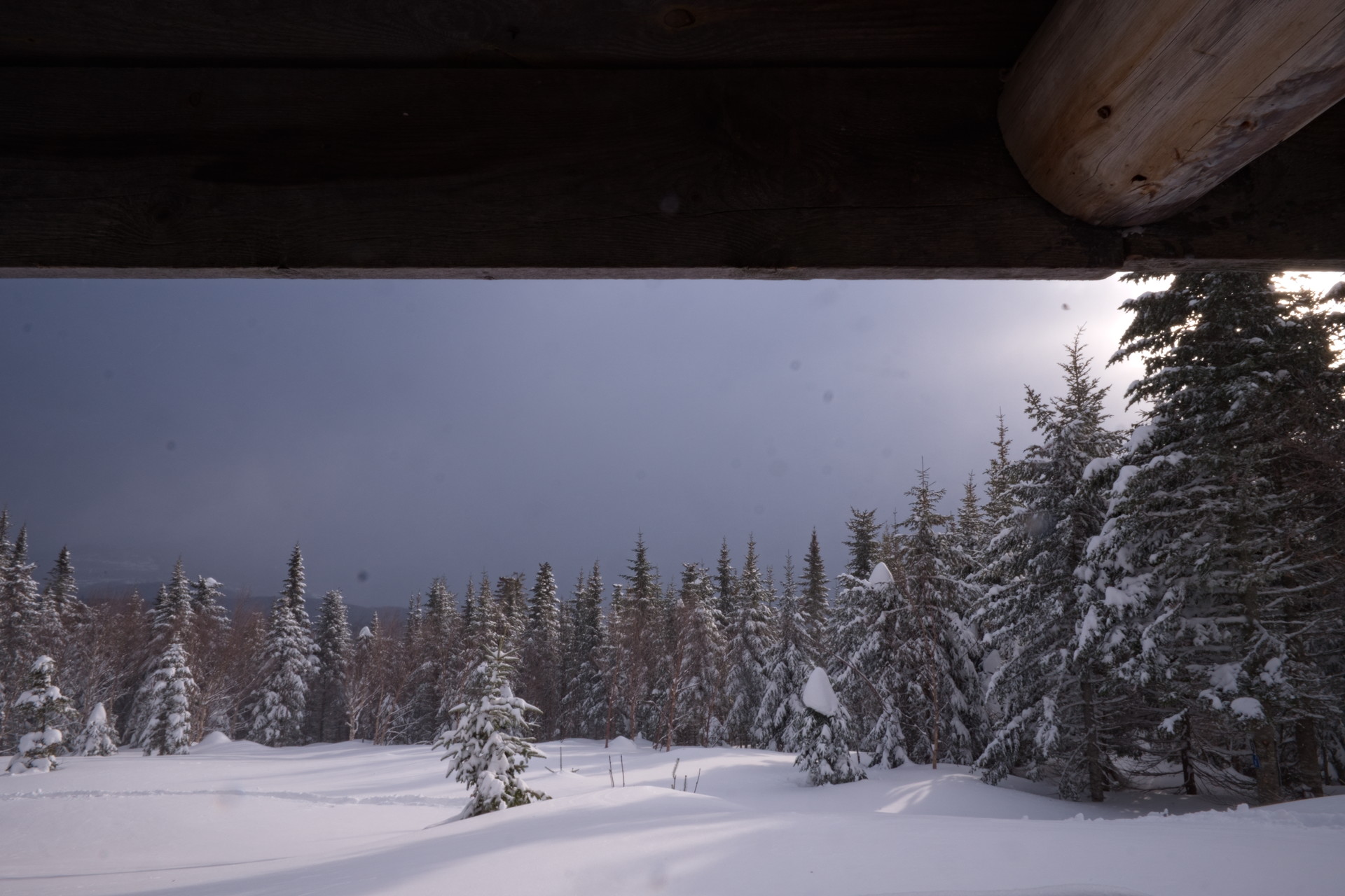 DSCF8936.jpg