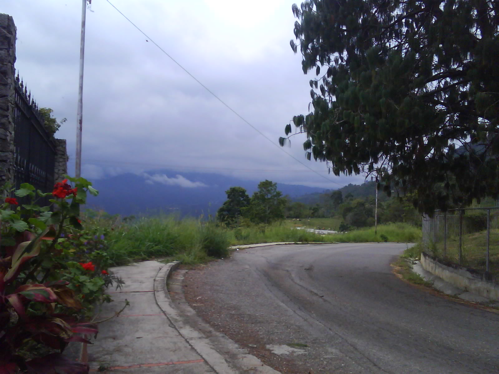 Fotografía 0394.jpg