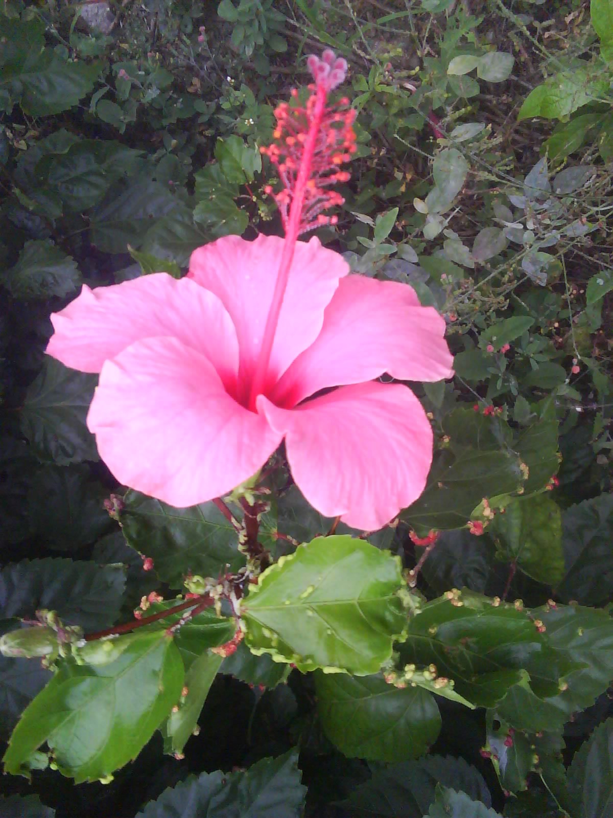 Fotografía 0368.jpg