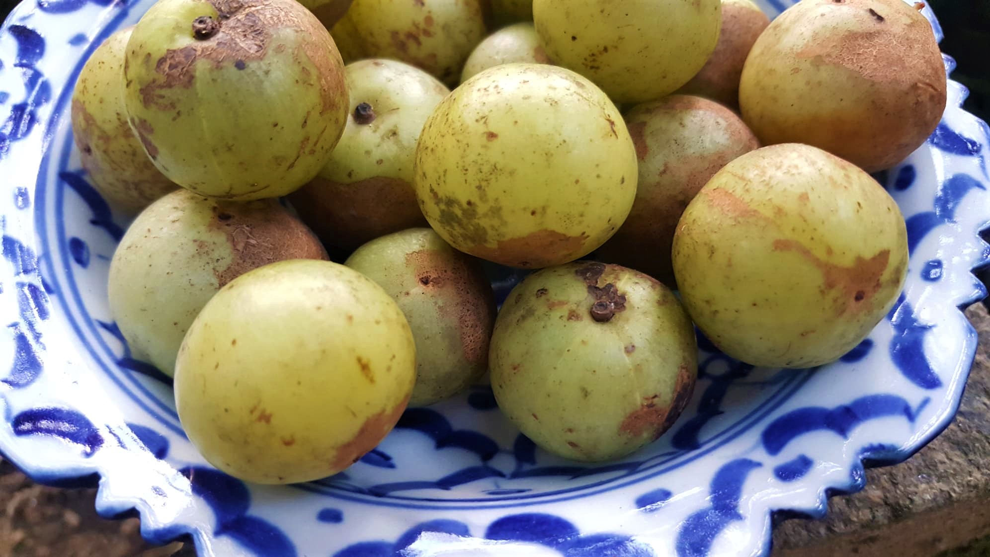 Amla1.jpg