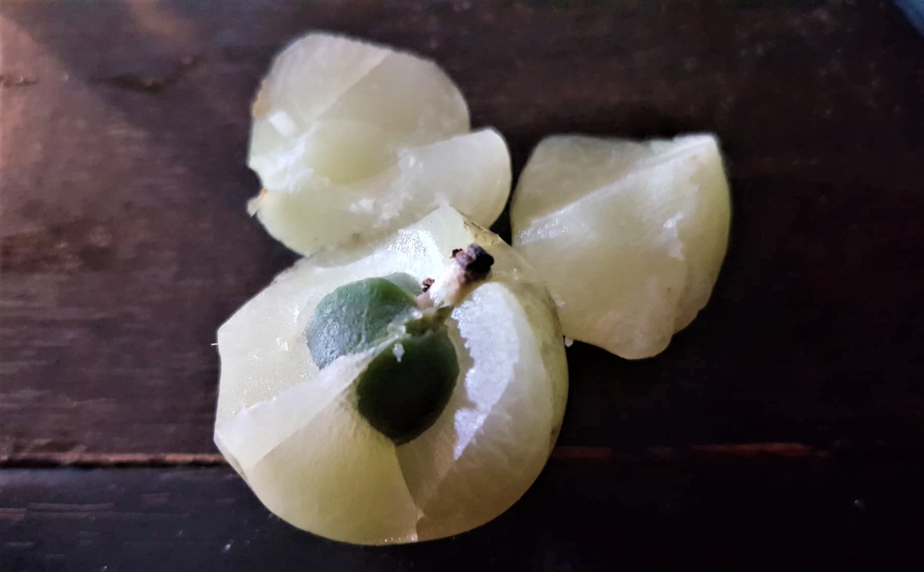 Amla2.jpg