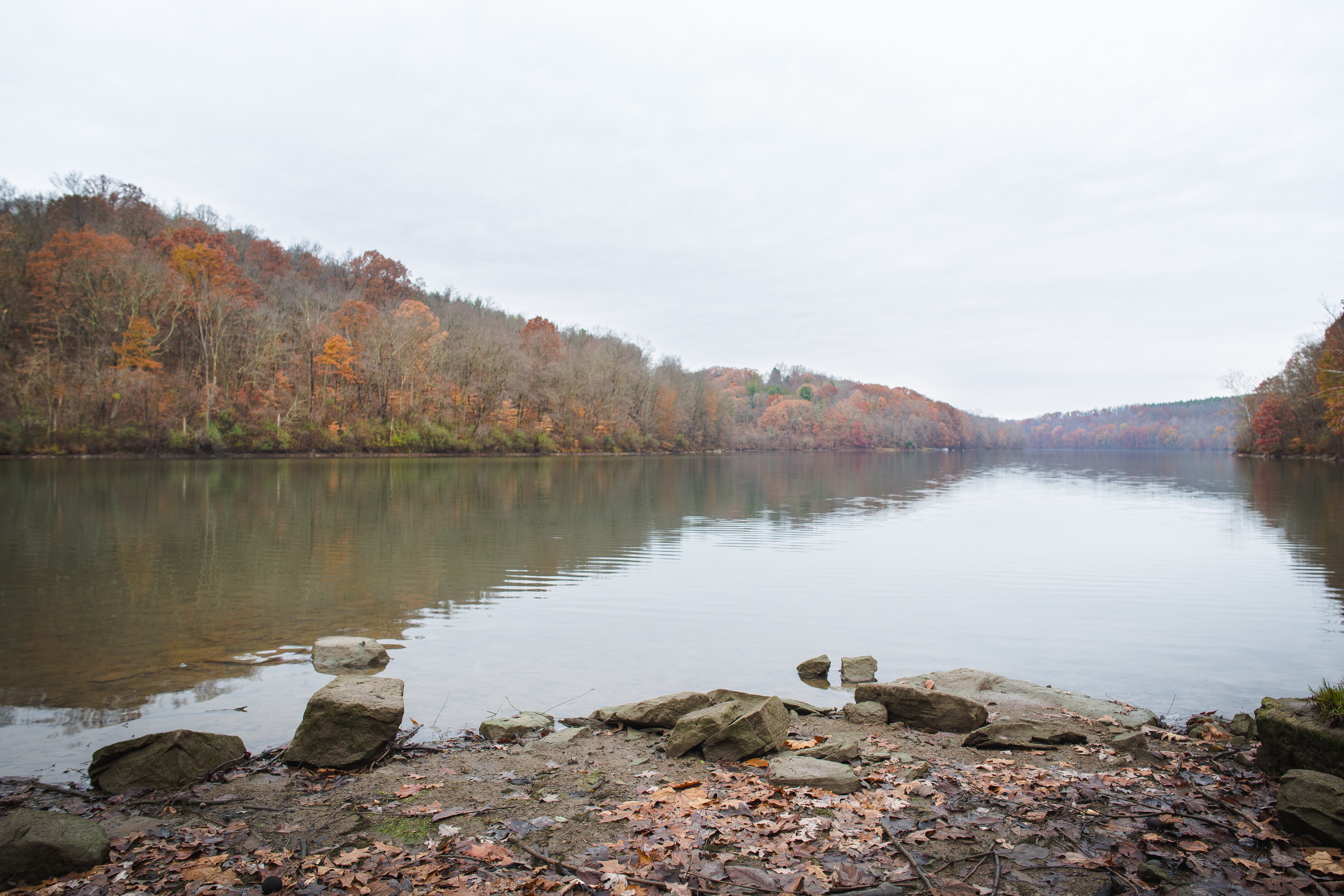 Kory Stead Cabin1.jpg