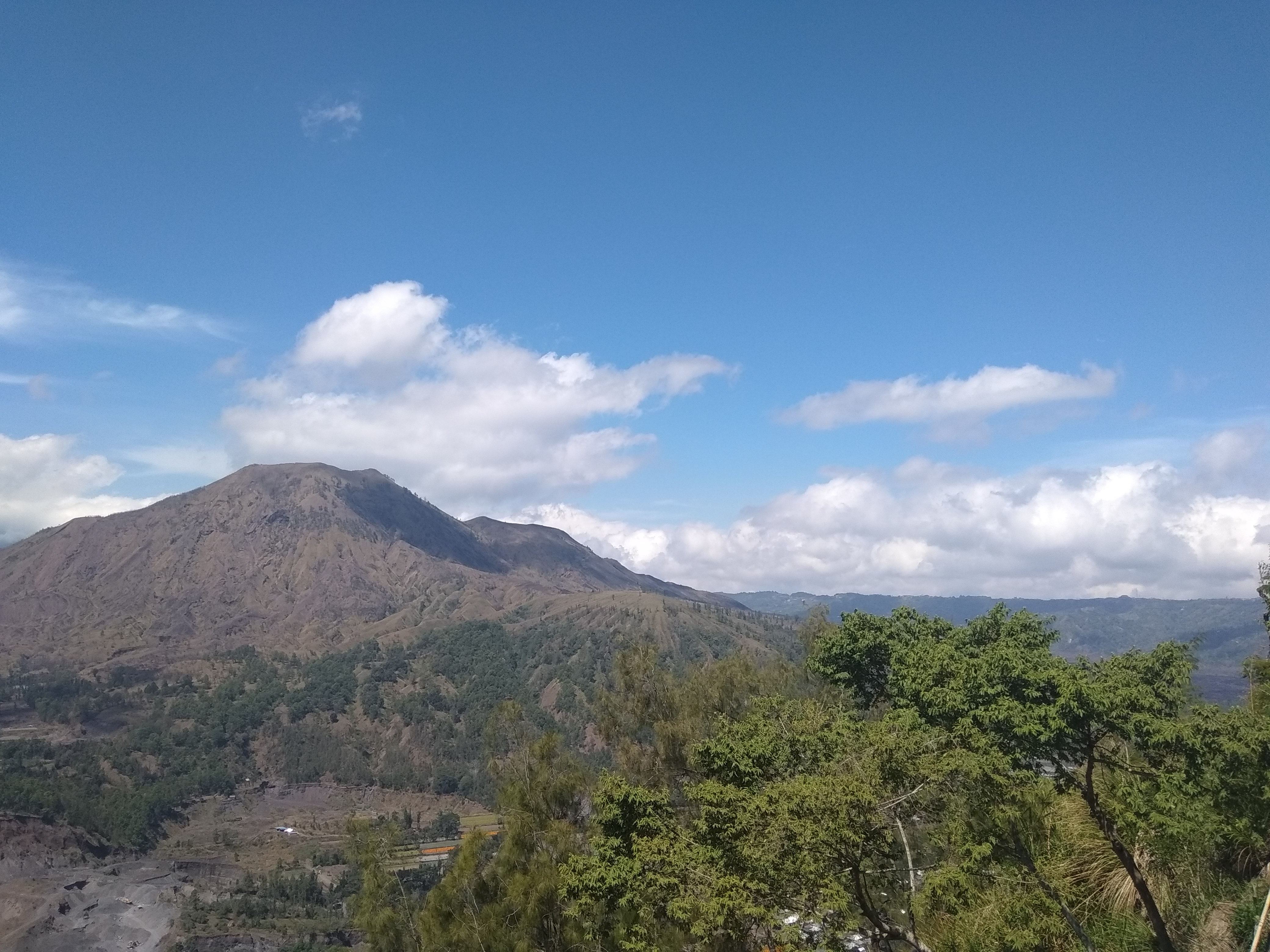 IMG_20190724_114957.jpg