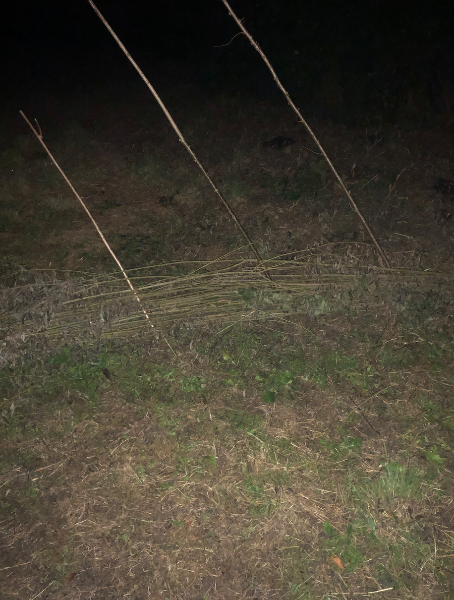 Bildschirmfoto 20191002 um 00.01.00.png