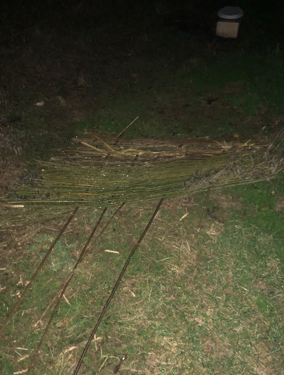 Bildschirmfoto 20191002 um 00.01.03.png