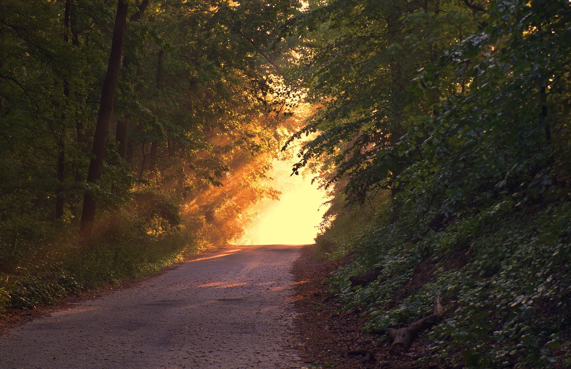 sunlight166733_1920.jpg