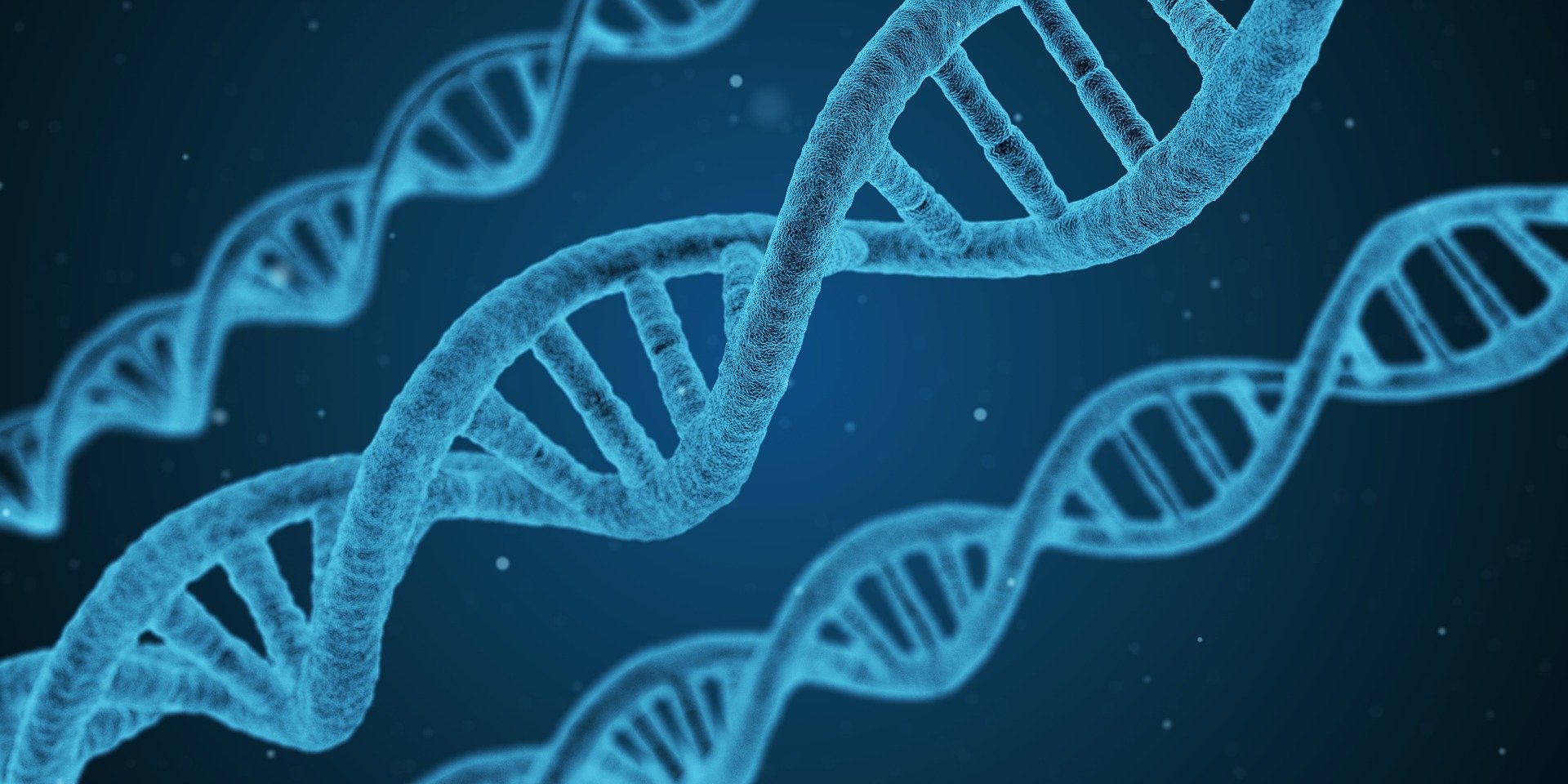 dna1811955_1920.jpg