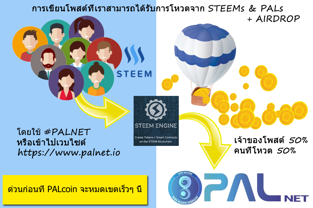 PALcointhai.jpg