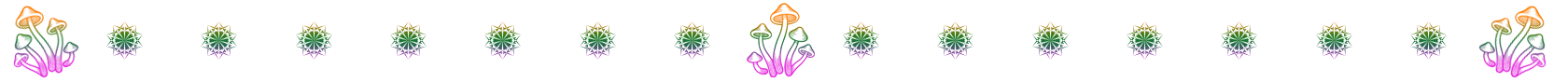 page divider shroomz1.png