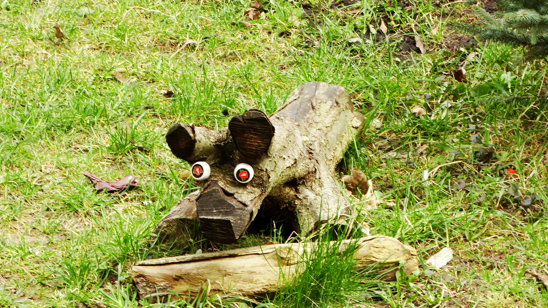 DSC02695.JPG