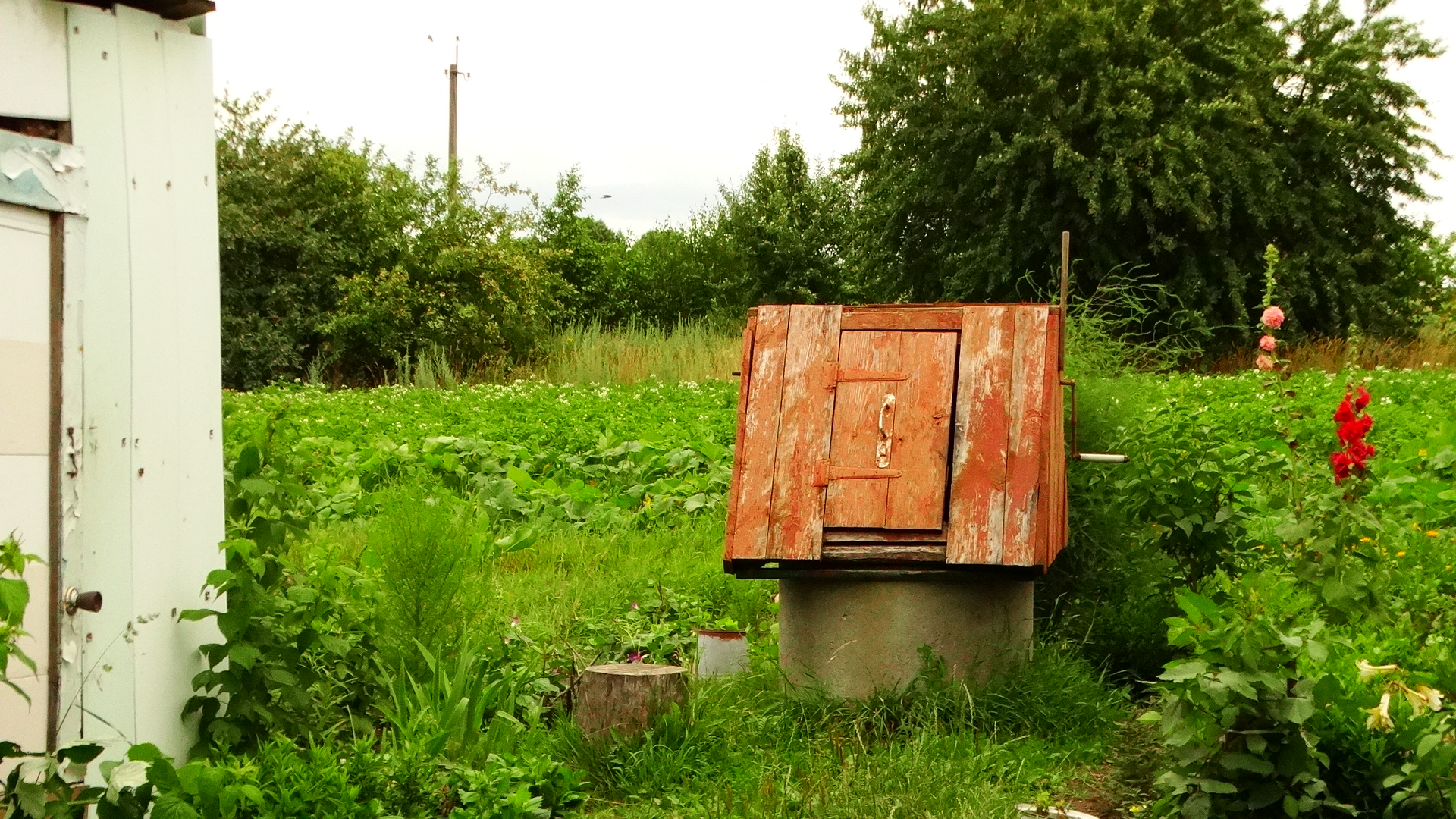 DSC04426.JPG