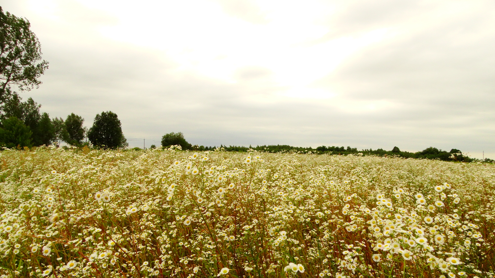 DSC04288.JPG