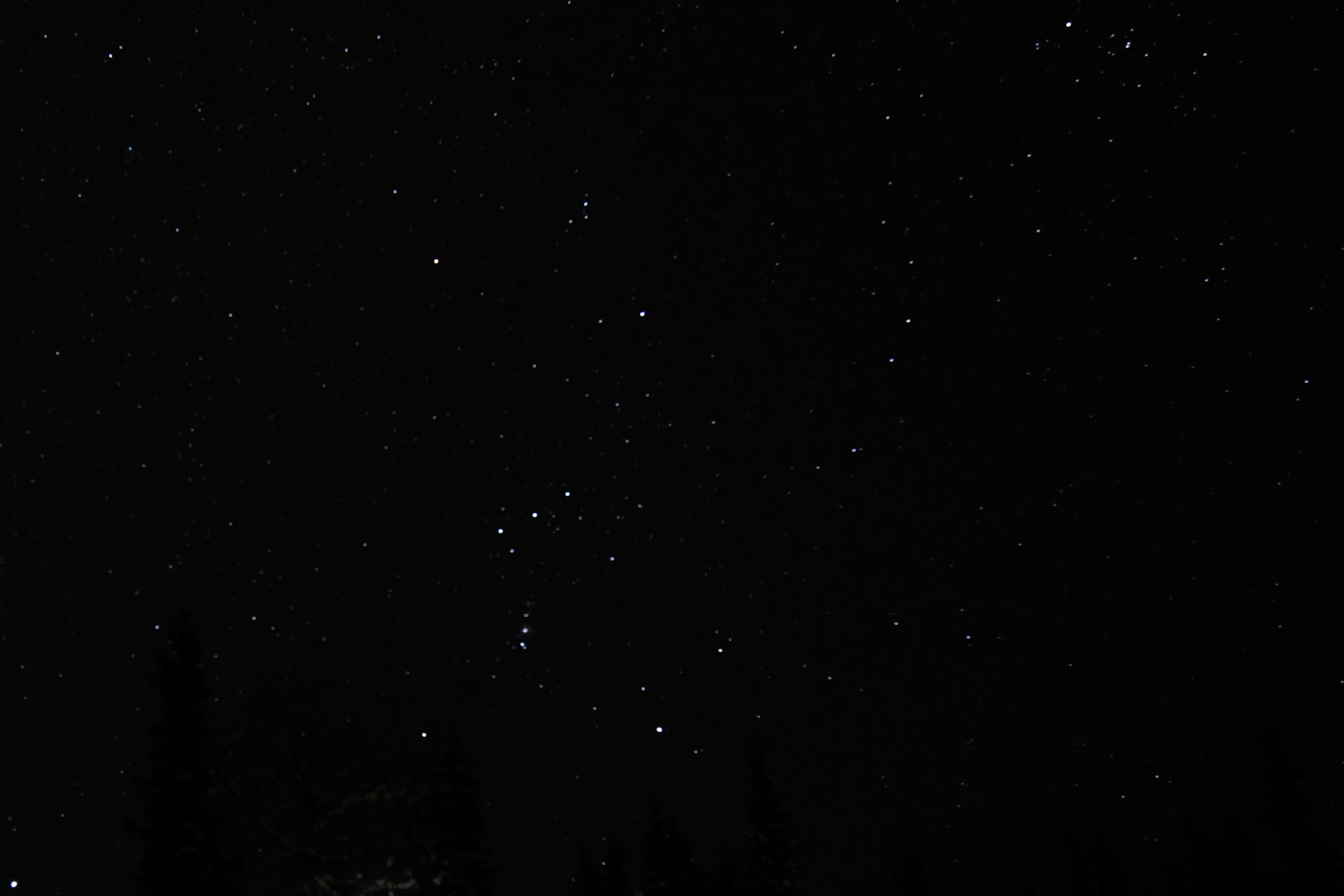 DSC_9215 cropped original orion resized.jpg