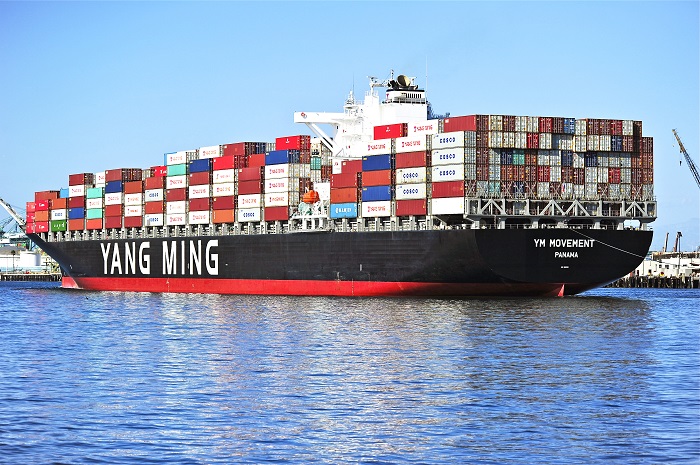 Yang Ming.jpg 2.jpg