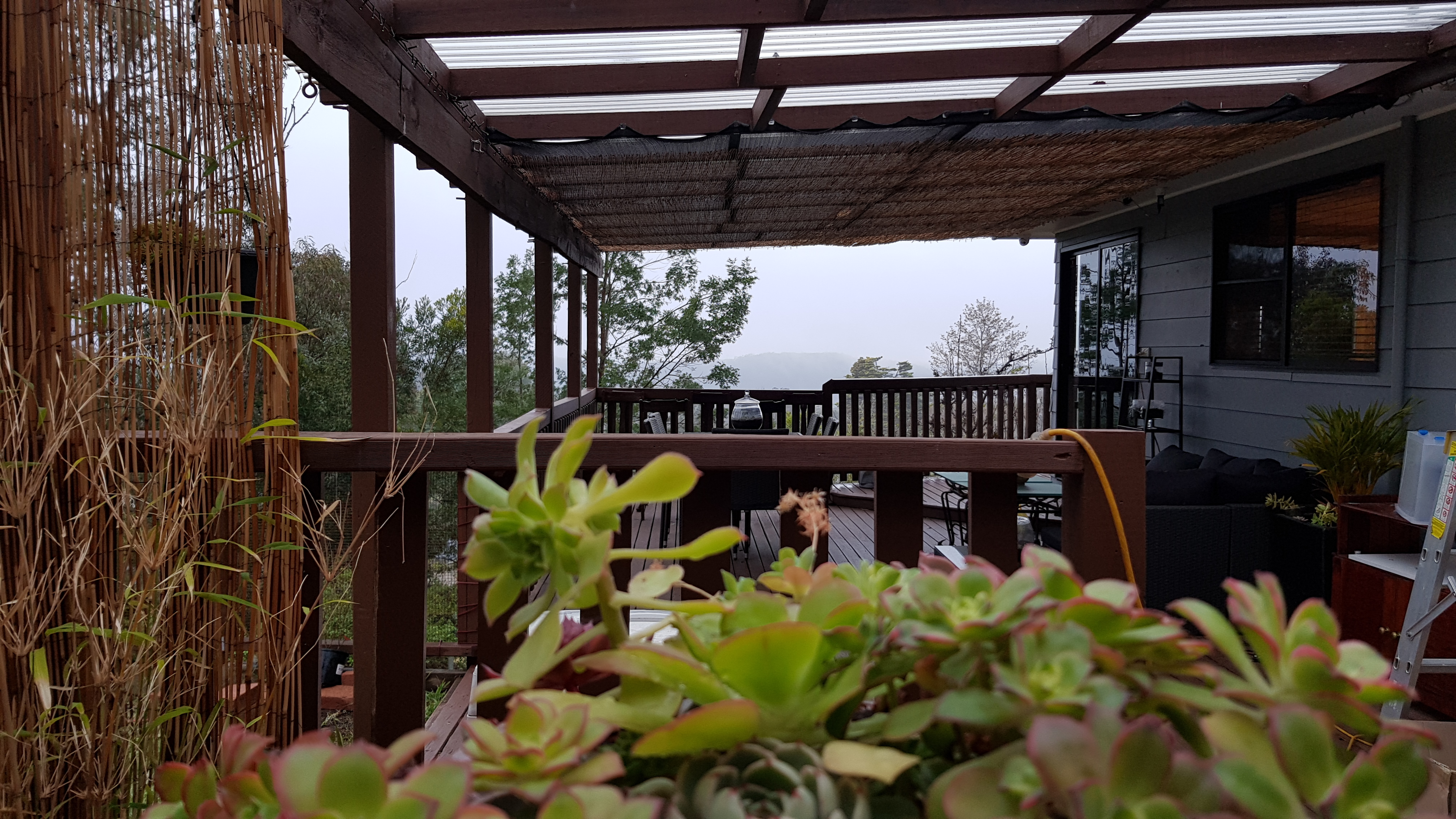 20190826_160834.jpg