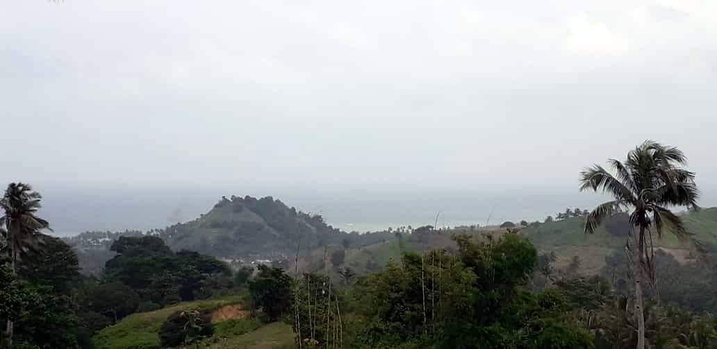 received_324860288316273.jpeg