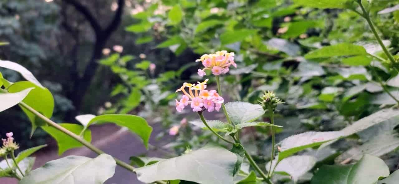 received_2386384108140990.jpeg