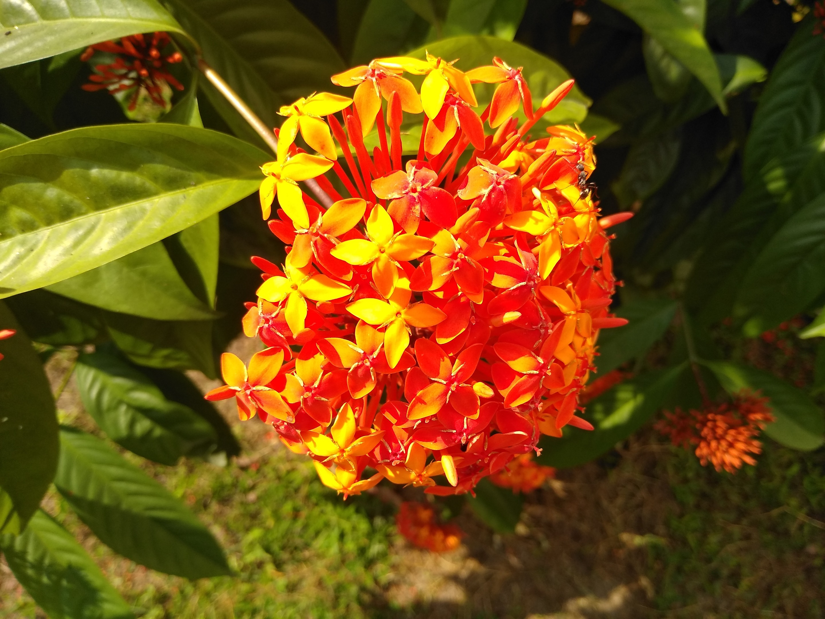 IMG_20191015_130054.jpg