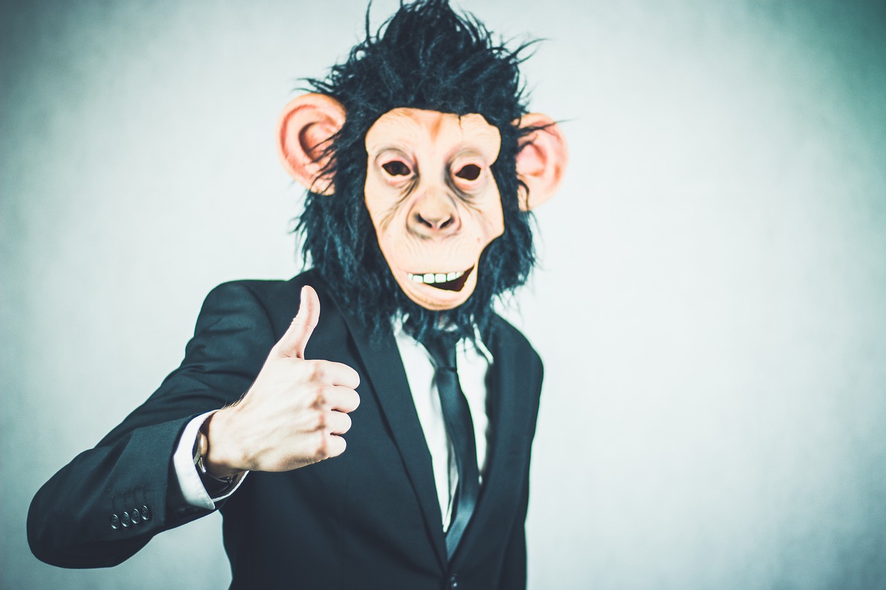 monkey2710658_1280.jpg