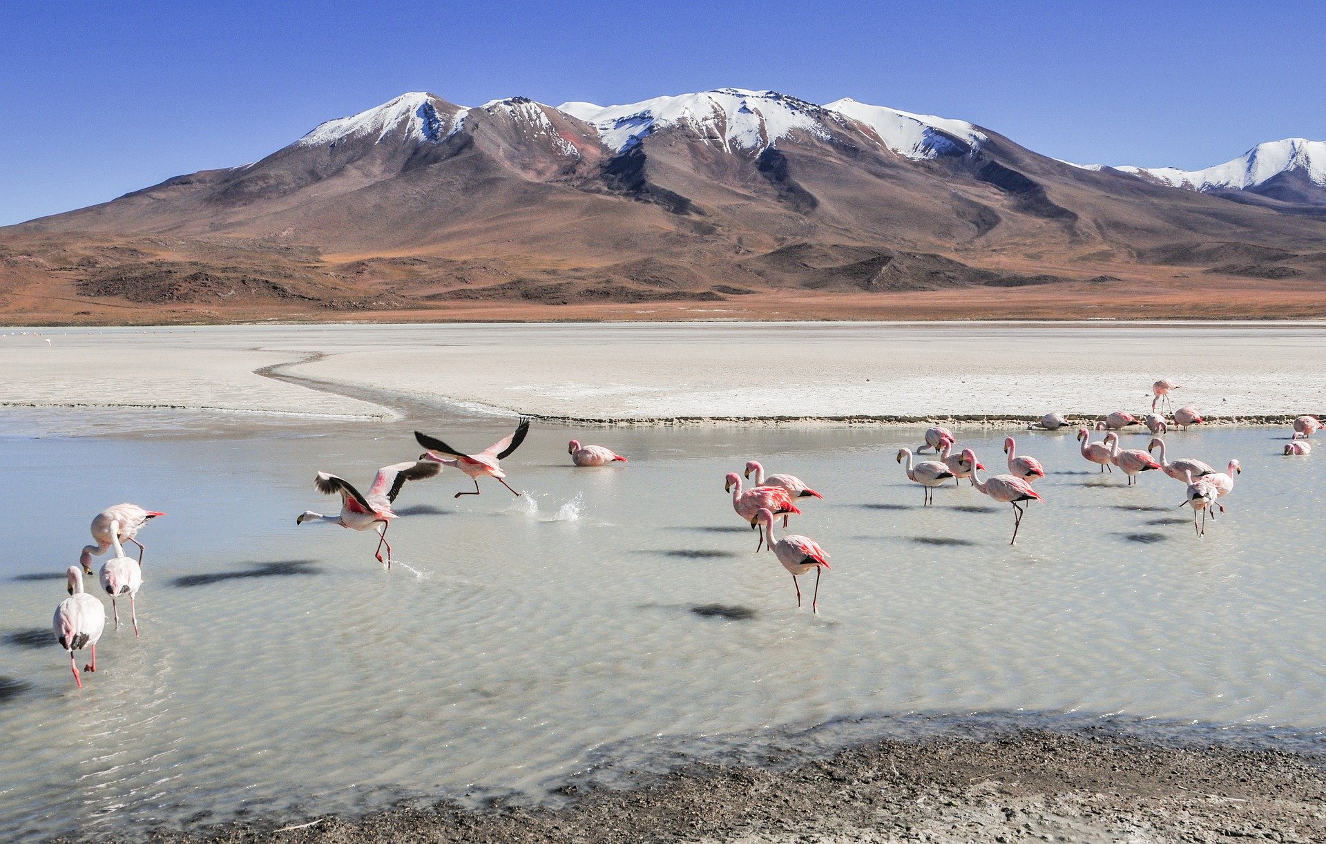 bolivia4919079_1920.jpg