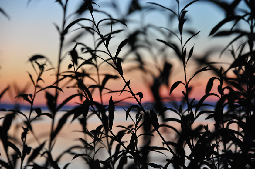 Sunset.jpg