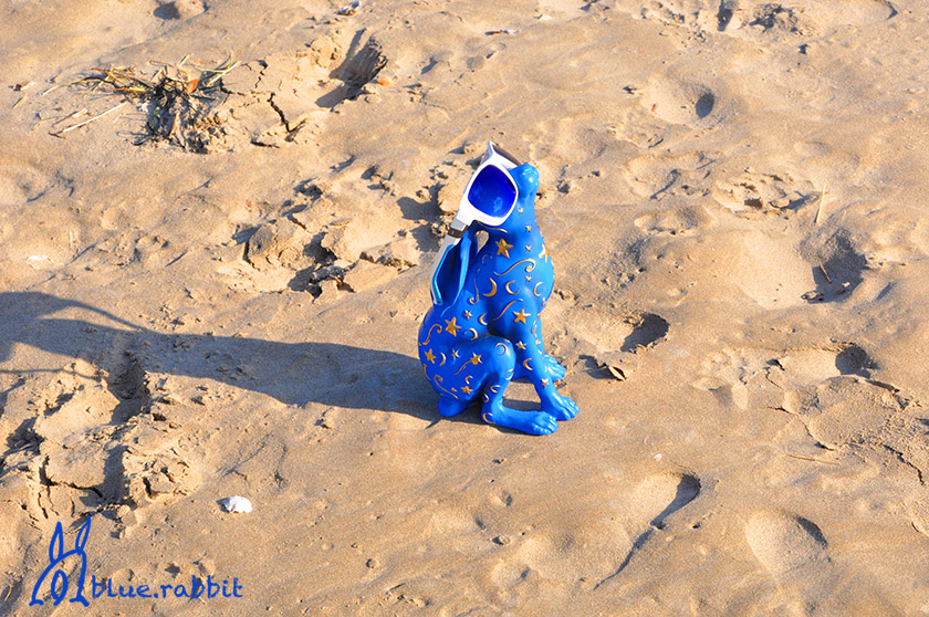 Rabbit_Sand_SCAPE.jpg