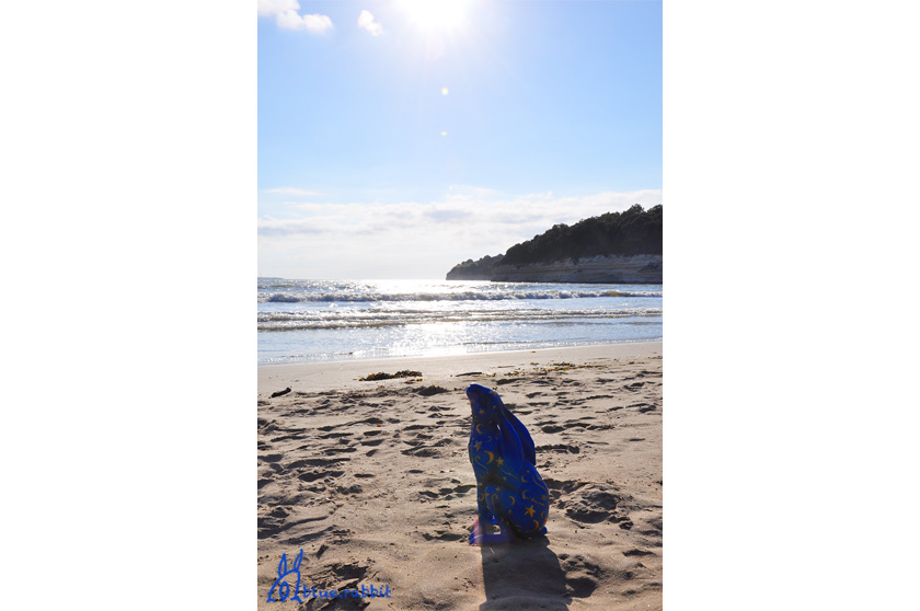 Rabbit_SEASCAPE_3.1.jpg