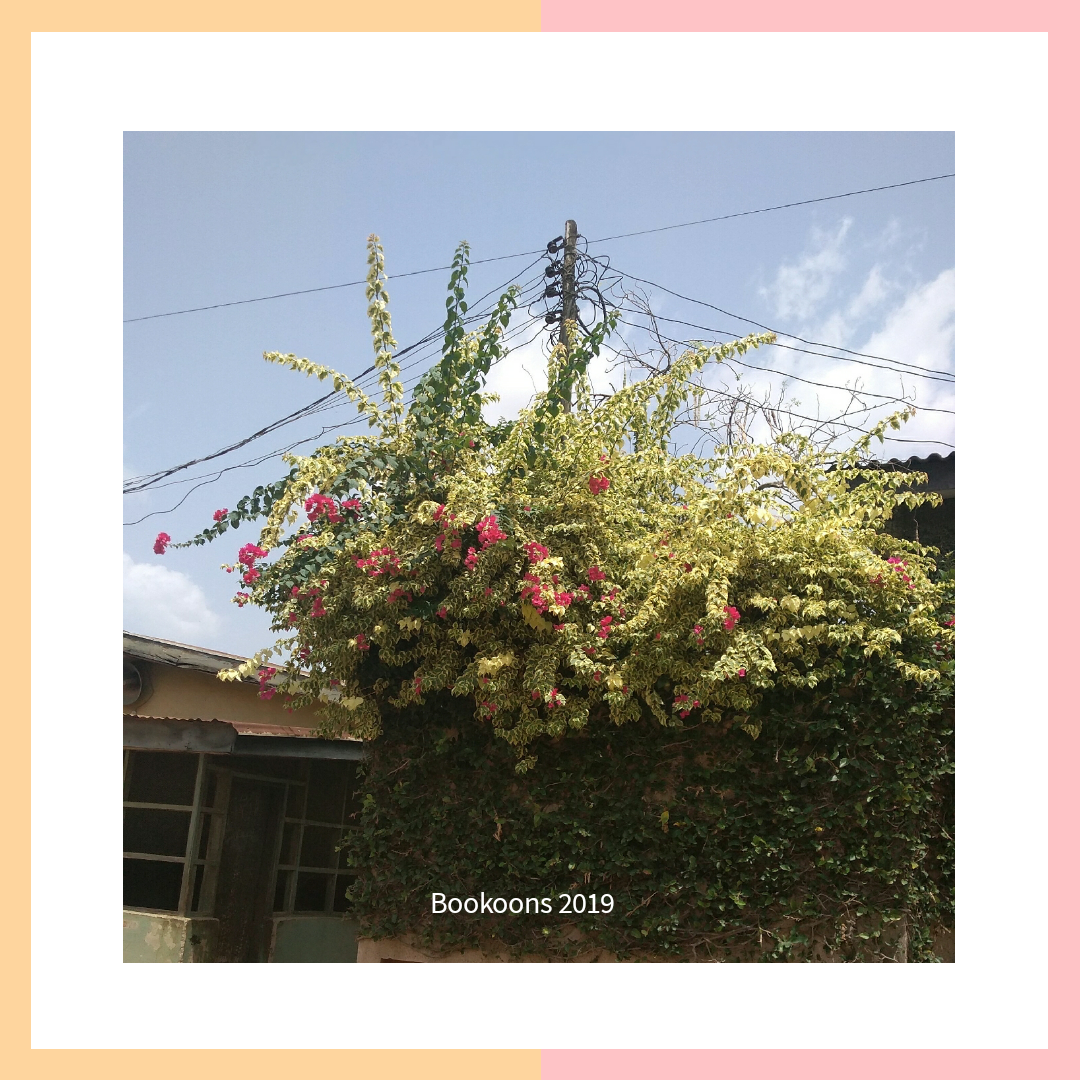 20190312_104440_0001.png