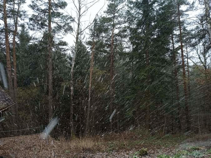 snow.gif