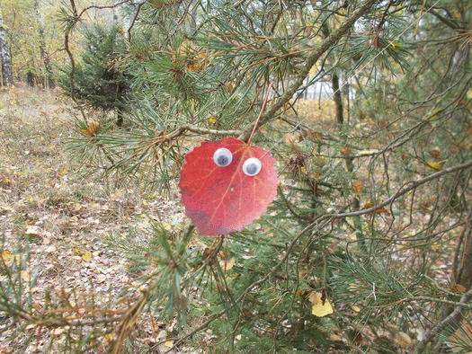 leaf.gif