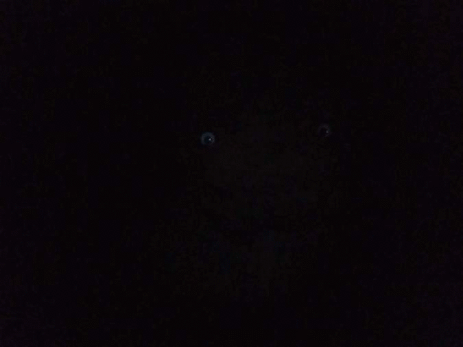 vrba.gif
