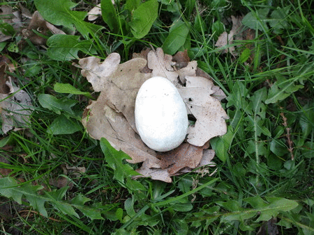 velikonoce.gif