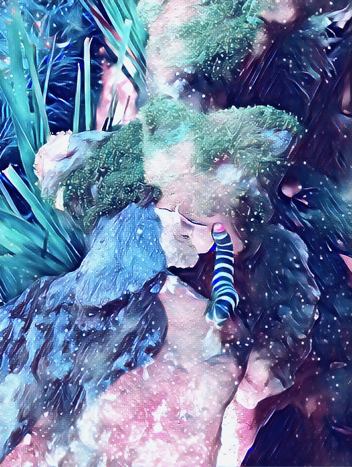 0C1528533302440087A03D42531BB493.jpeg
