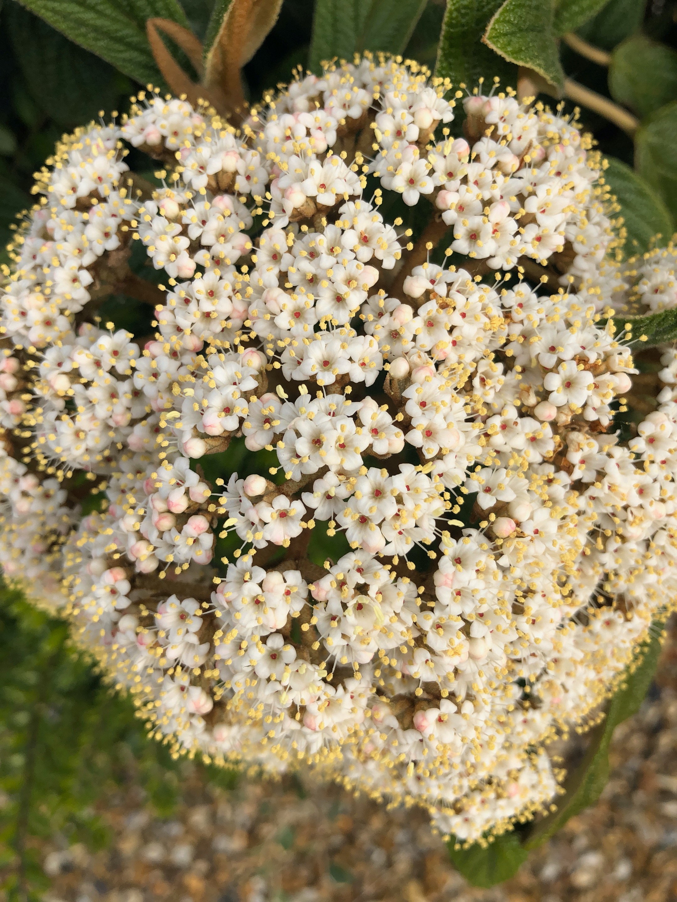 IMG_5631.jpeg