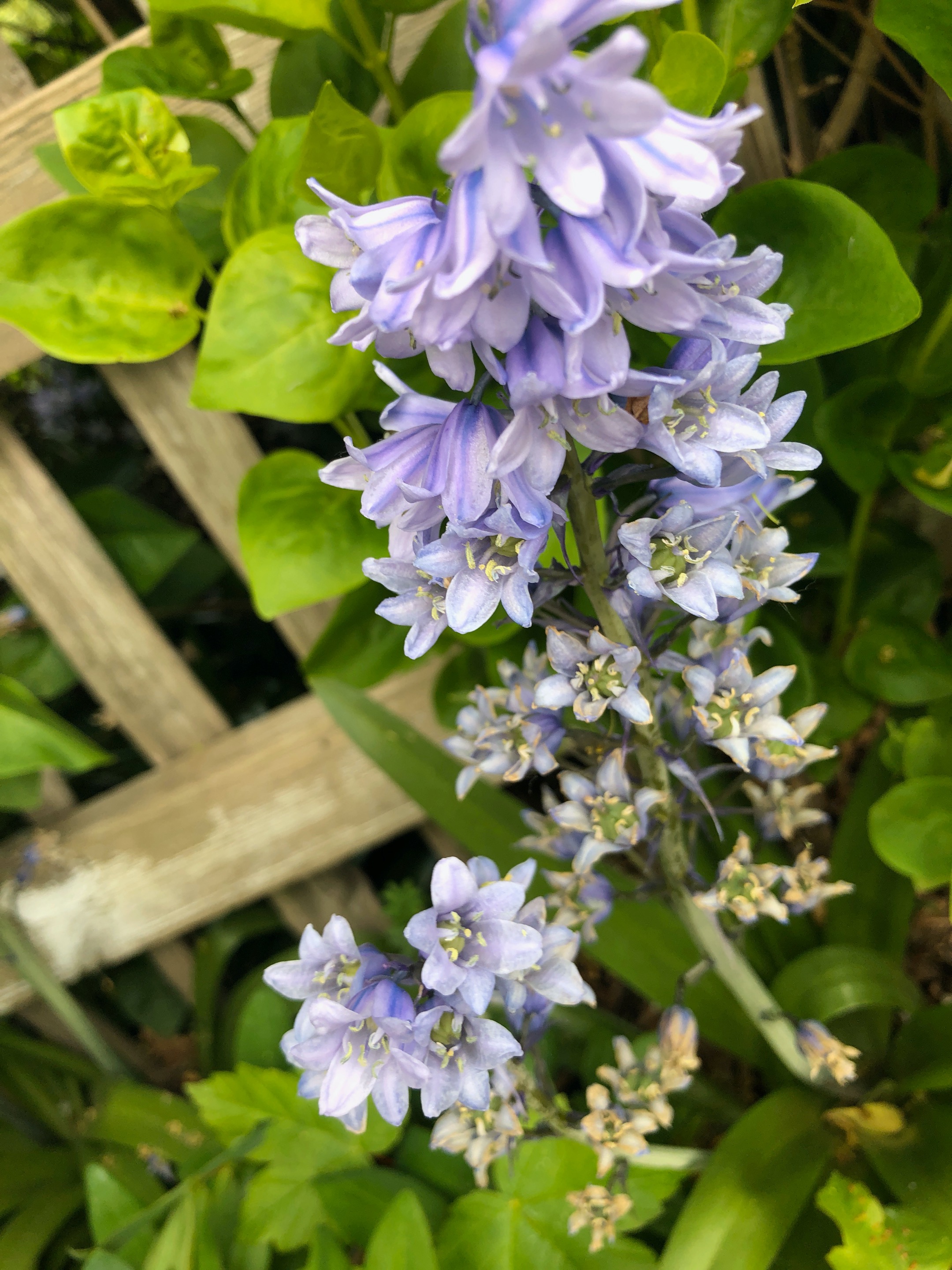 IMG_5625.jpeg